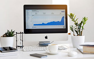 熊猫体育全站-布莱顿锋线活跃，海鸥军团力争更好排名，布莱顿为什么叫海鸥