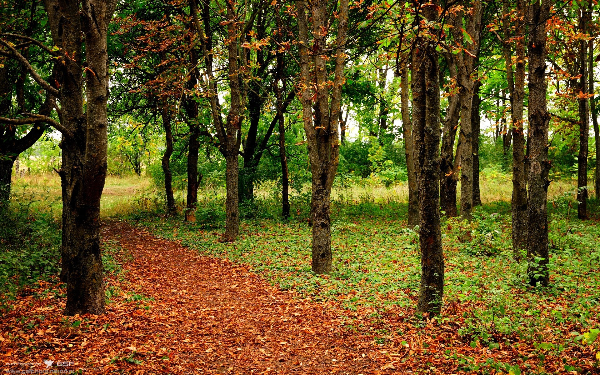 熊猫体育网址-Dota 2 赛季中期战况复杂多变，dota2新赛制