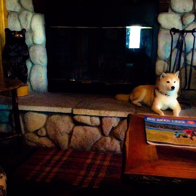 _太空跑步模拟:未来运动新方向_,太空跑步游戏