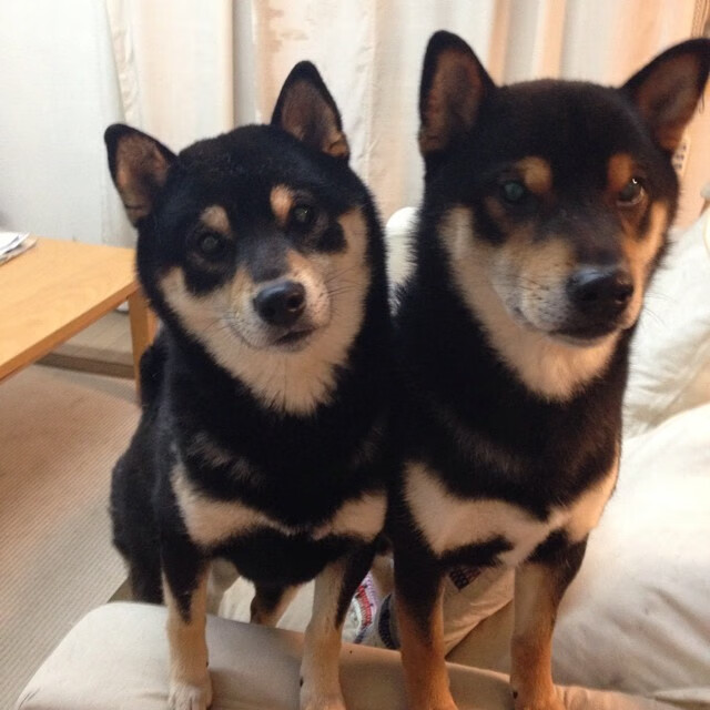 _城市广场:开放式网球街头比赛_,开放式网球击球