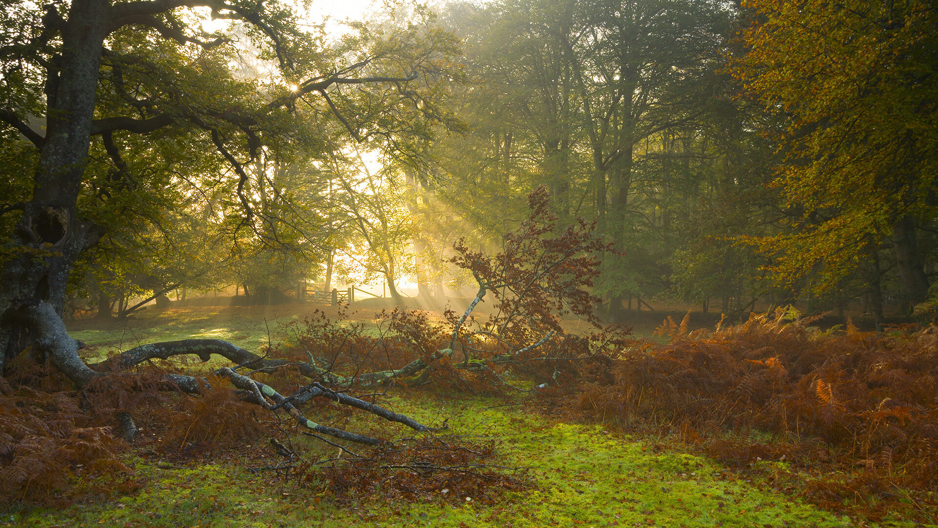 _登山徒步赛事:挑战天路,追逐自由_,国内经典徒步登山路线