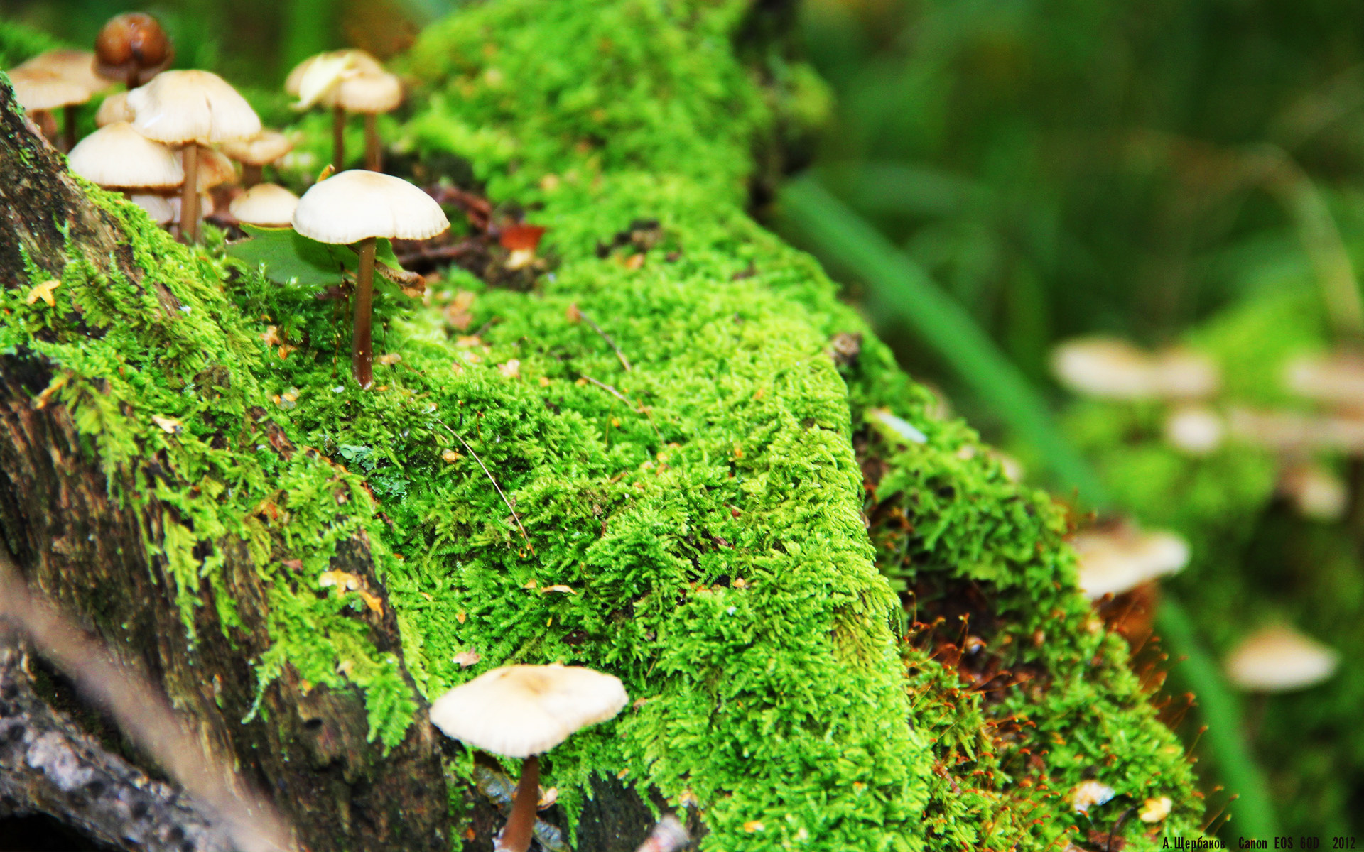 _青少年专场:未来冠军从这里起步_,未来精英青少年成长俱乐部