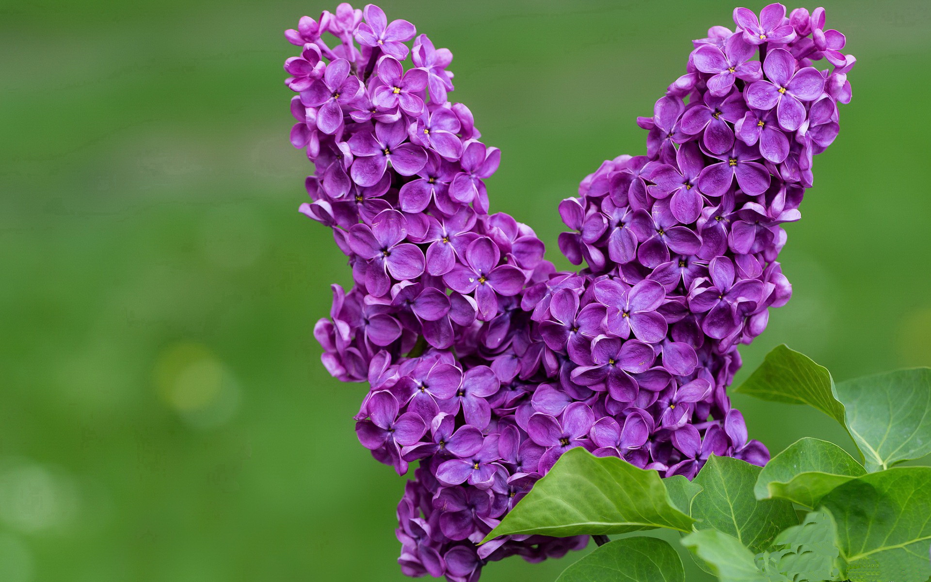 熊猫体育娱乐-“攻势如潮，比分持续飙升！谁能守住领先优势？”，即时比分查询