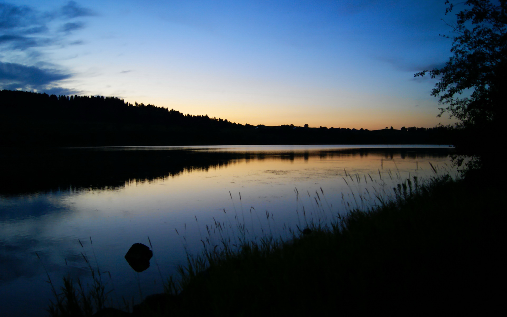 “泥泞激战:雨后泥地上的疯狂追逐”,泥泞的雨天