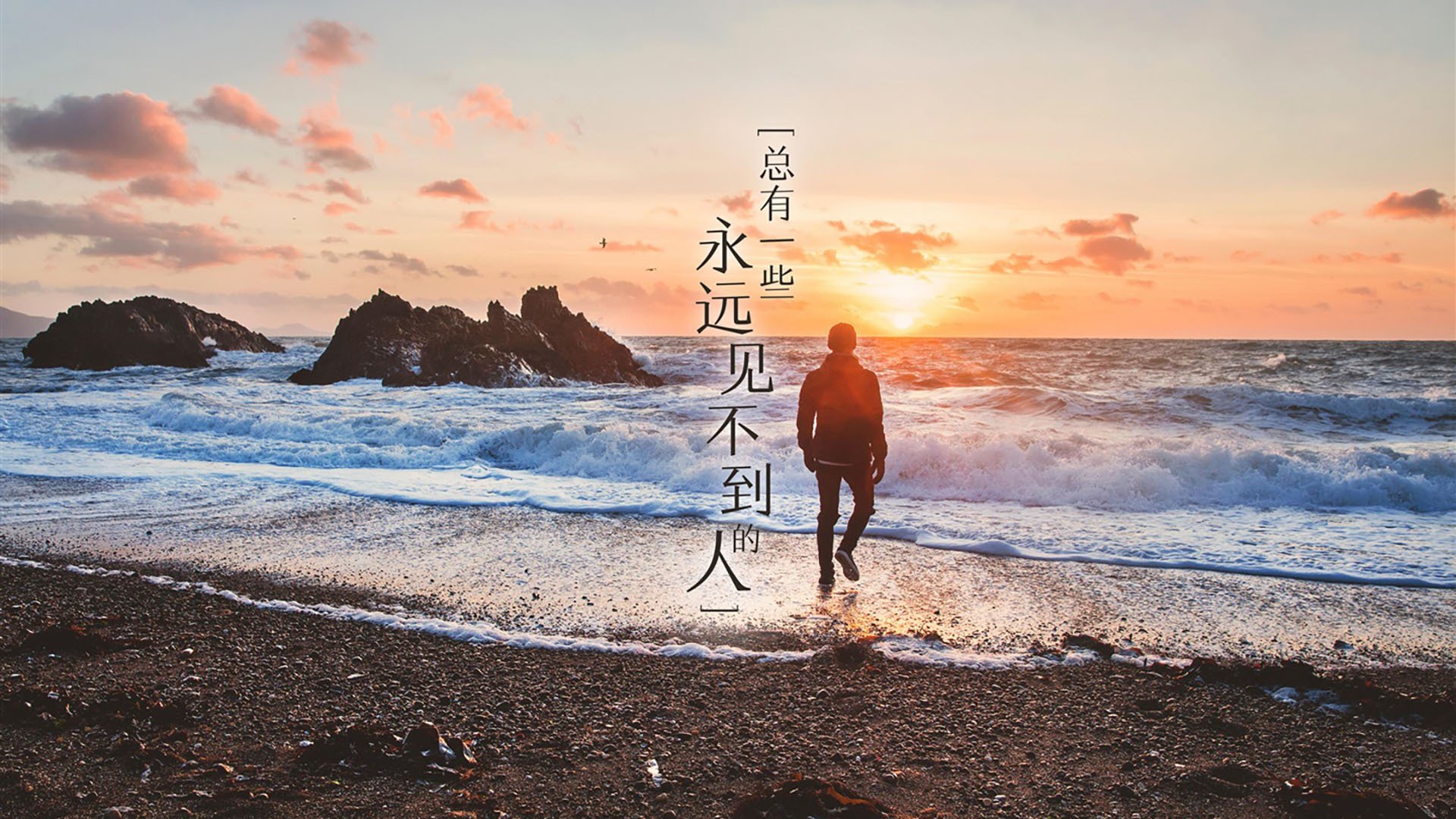 熊猫体育直播-“猛龙的秘密：联盟最具战斗力的球队揭秘”，lol猛龙