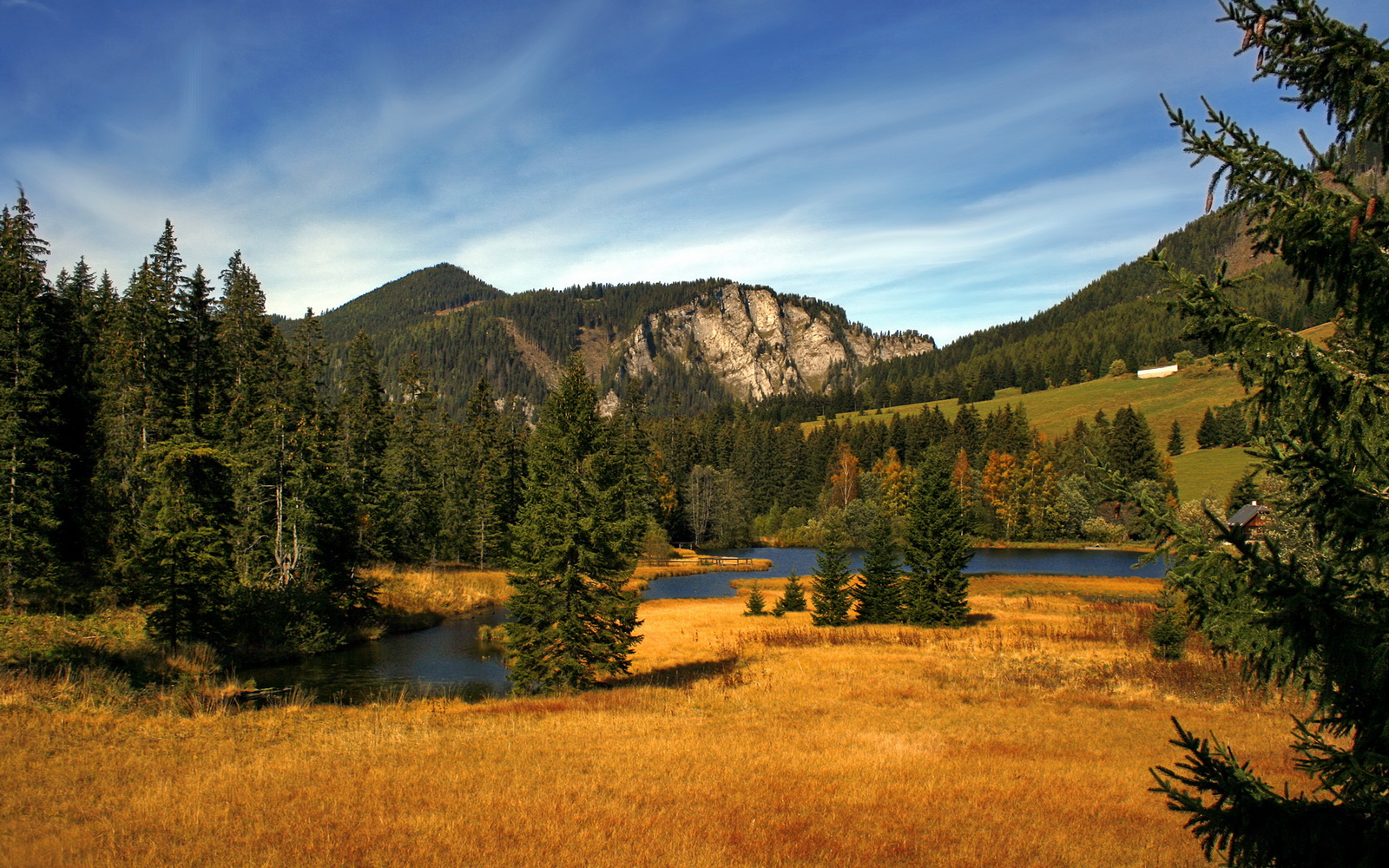 熊猫体育平台安全-“虚拟场景与真实比赛无缝植入：未来观赛体验的终极升级”，虚拟现实场景制作