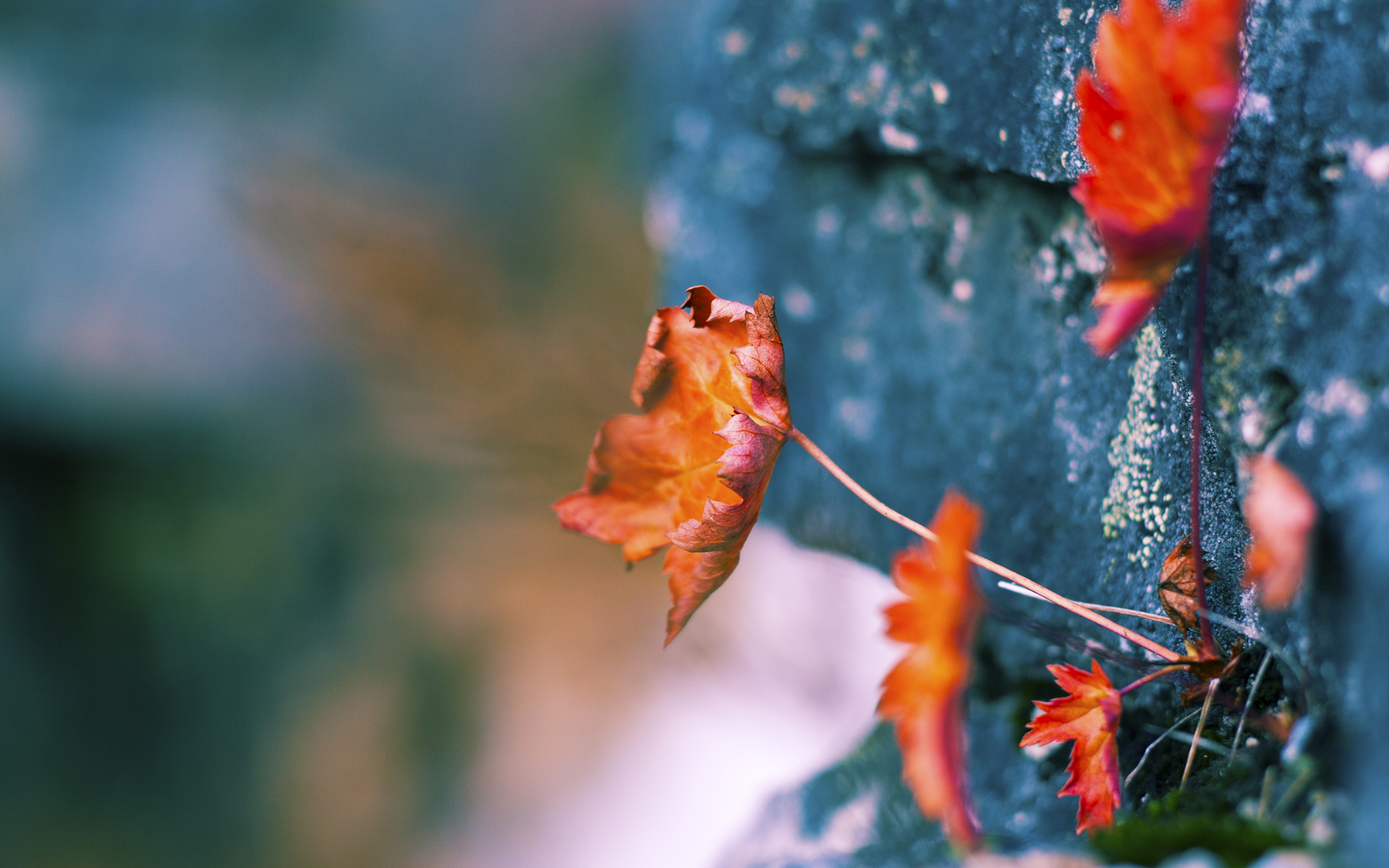 熊猫体育在线-《未来电竞：技术革新与行业模式的深度融合》，未来电竞bl