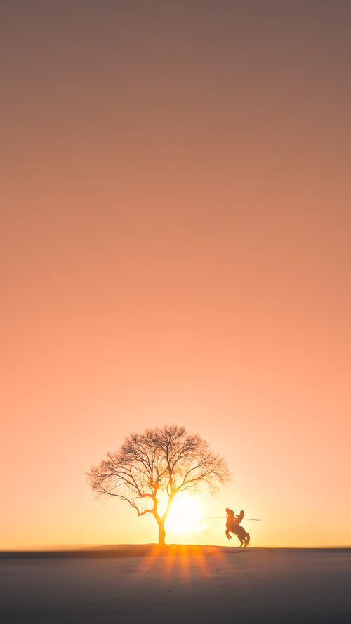儿童趣味跑,快乐成长的运动启蒙,趣味跑的技巧