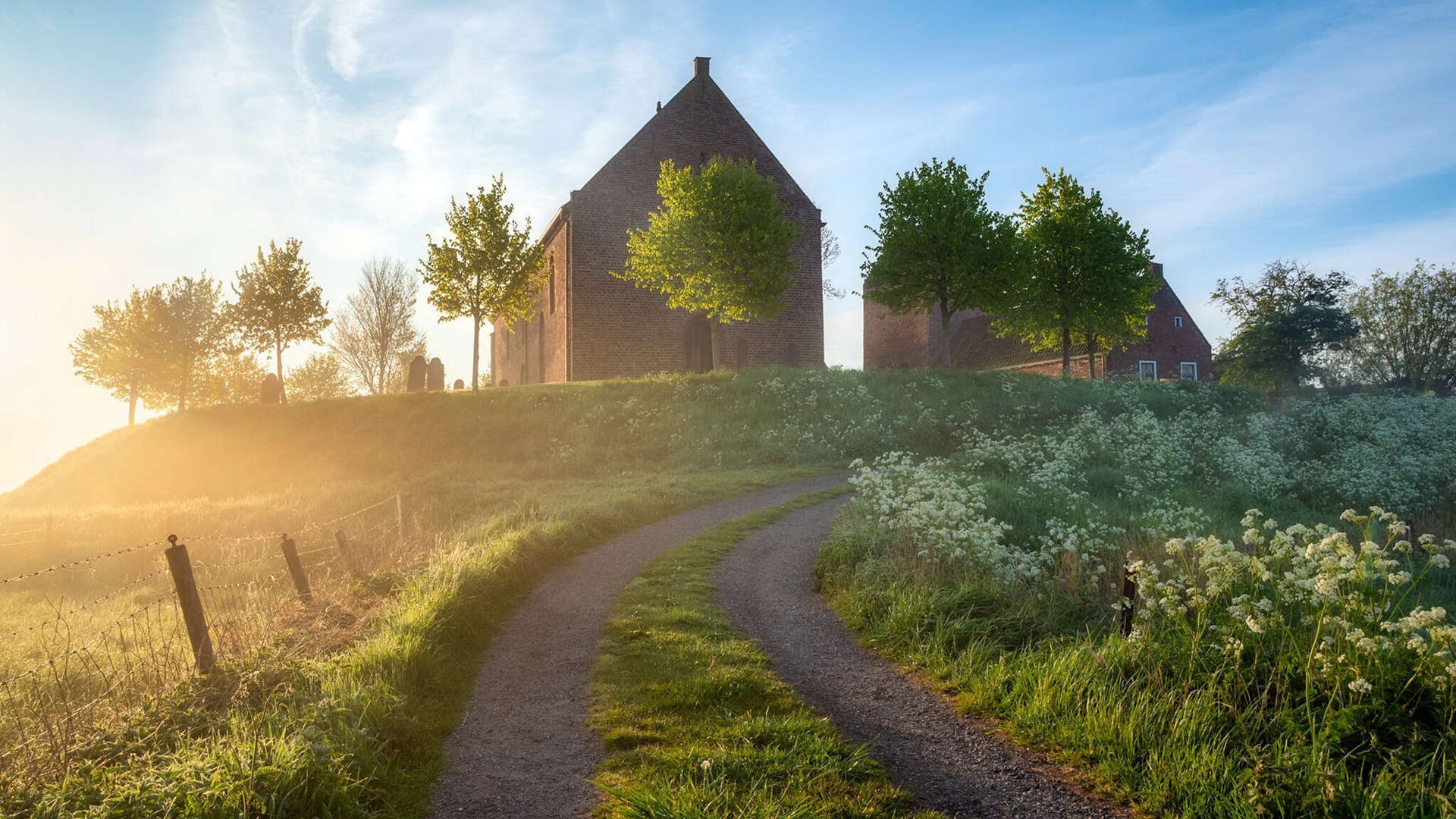 塞内加尔马术协会设立马匹福利基金,支持马匹退休生活。,塞内加尔马塔尔