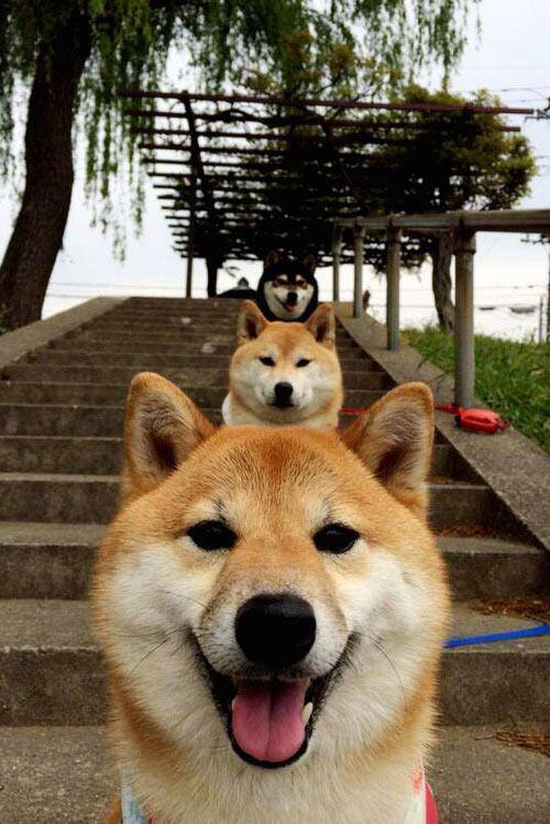 熊猫体育app-未来篮球场：智能场地和科幻科技如何影响比赛？，智能led篮球场