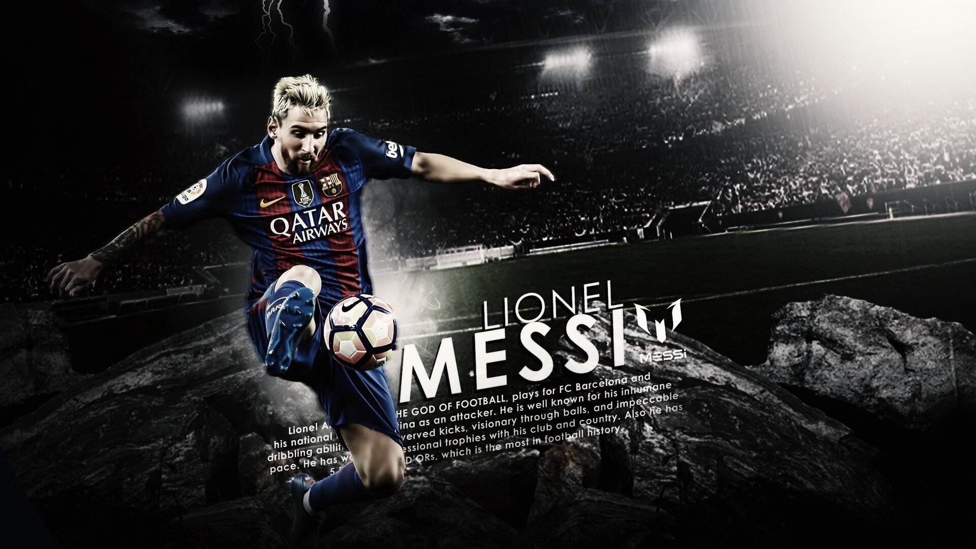 最“萌”的比赛:球迷与动物的趣味互动,动物踢球的游戏