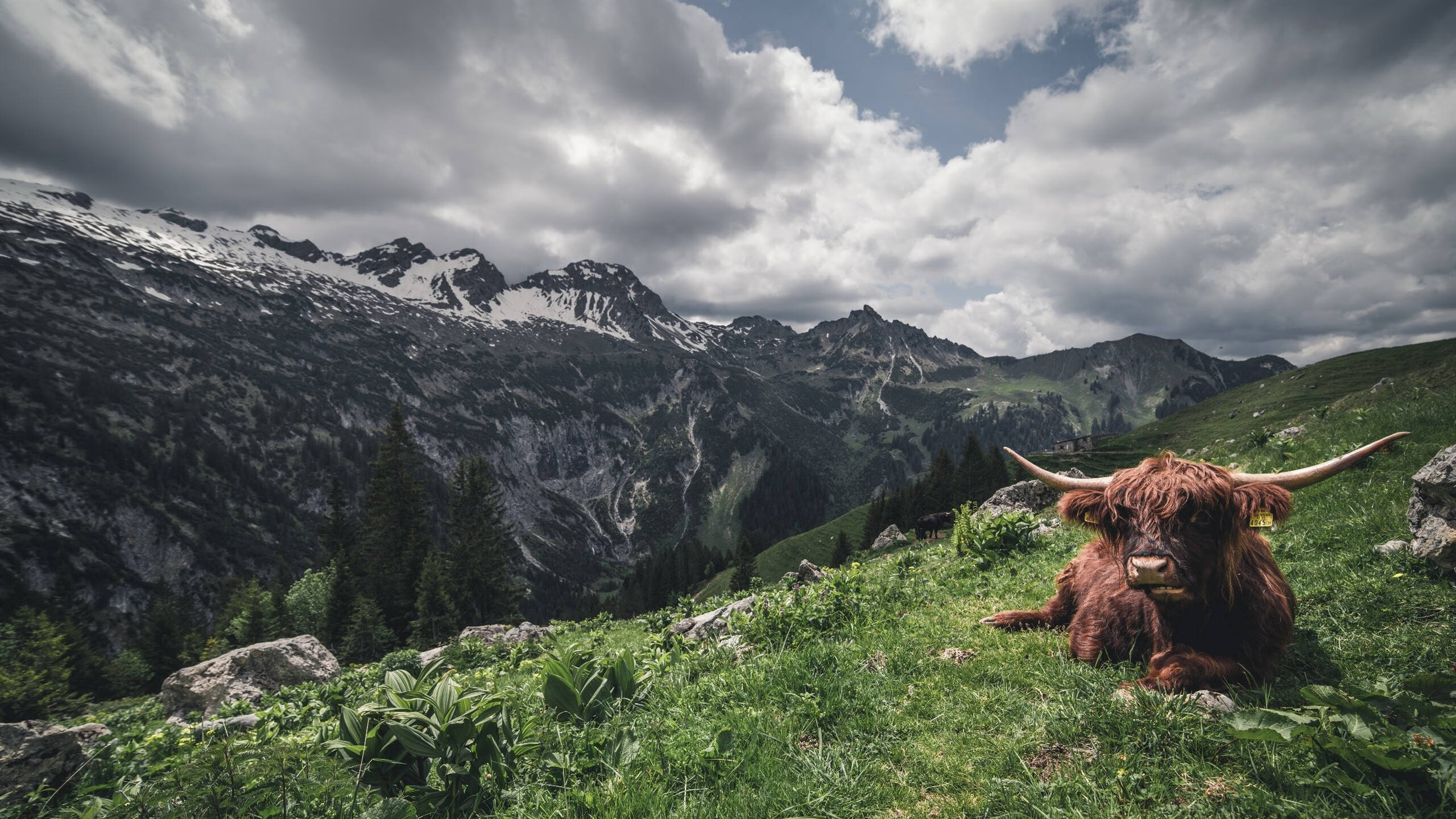 KPL选手个人荣誉榜刷新,kpl选手评级