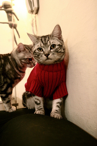 一支球队通过一场胜利向联赛冠军发起冲击,一支球队一共比赛了30场,输了12场