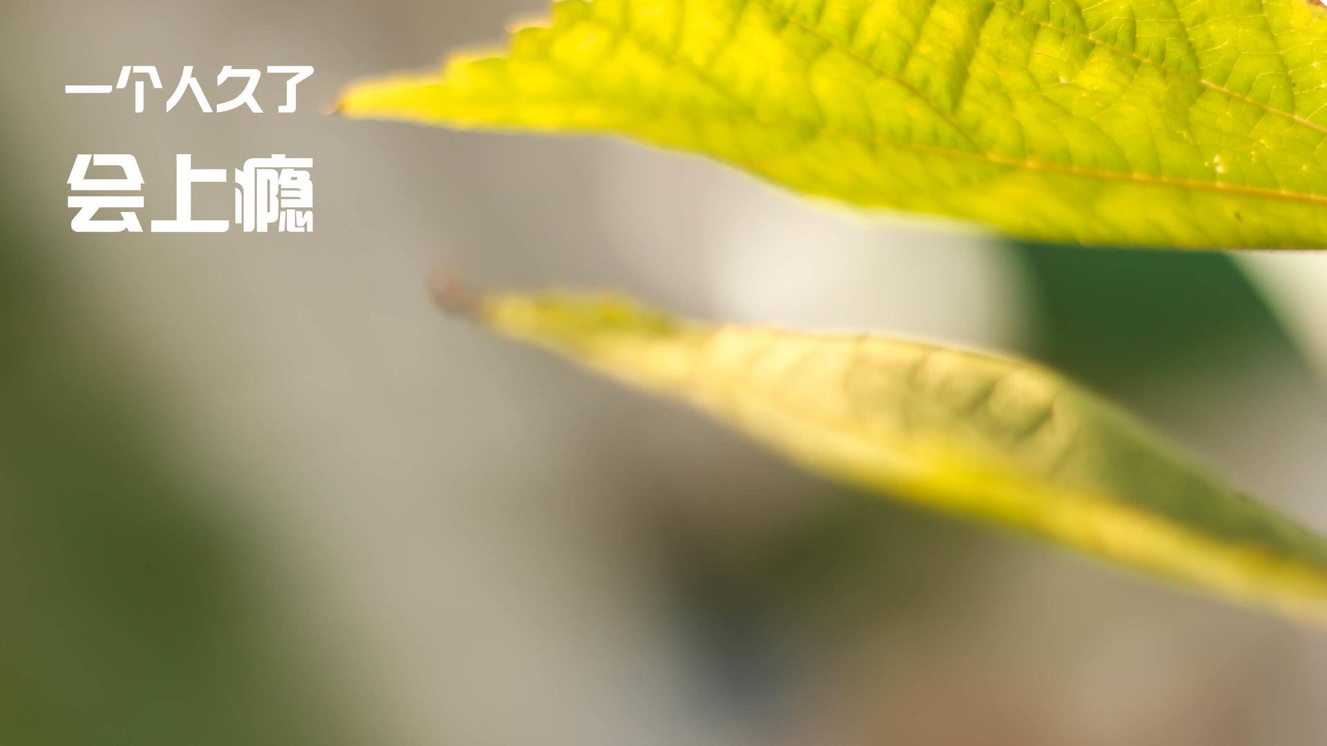 普拉提课程在企业团建中应用,提升员工凝聚力,普拉提公司介绍