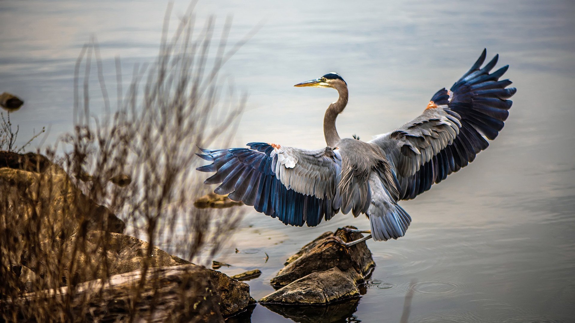 体育赛事数字化管理平台开发实践,体育数字化建设