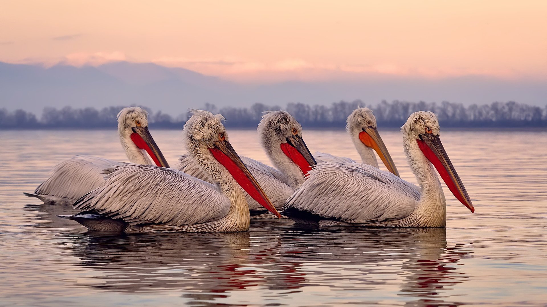 英超商业联盟对中小俱乐部品牌提升作用，英超俱乐部运营
