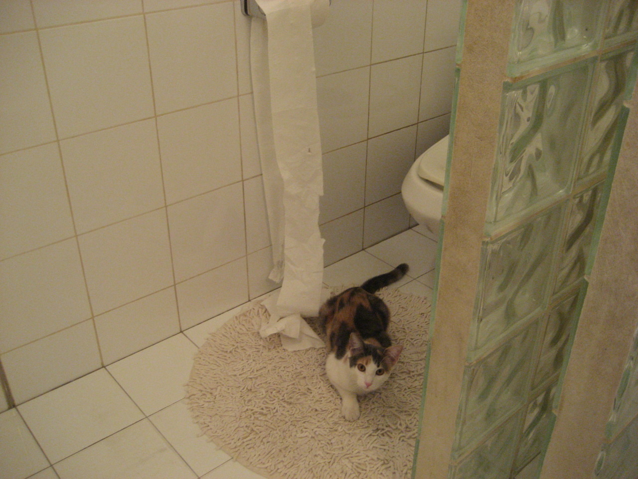 波兰队在国际乒联混合团体世界杯中的攻防策略分析,波兰乒乓球水平