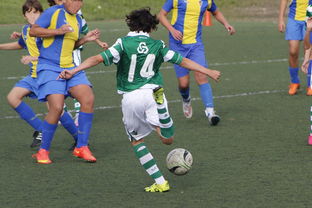 熊猫体育网站入口-中国足球国家队备战友谊赛调整战术策略，国足 友谊赛