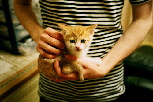 张雨霏突破自我刷新个人最好成绩,张雨霏如何走向巅峰