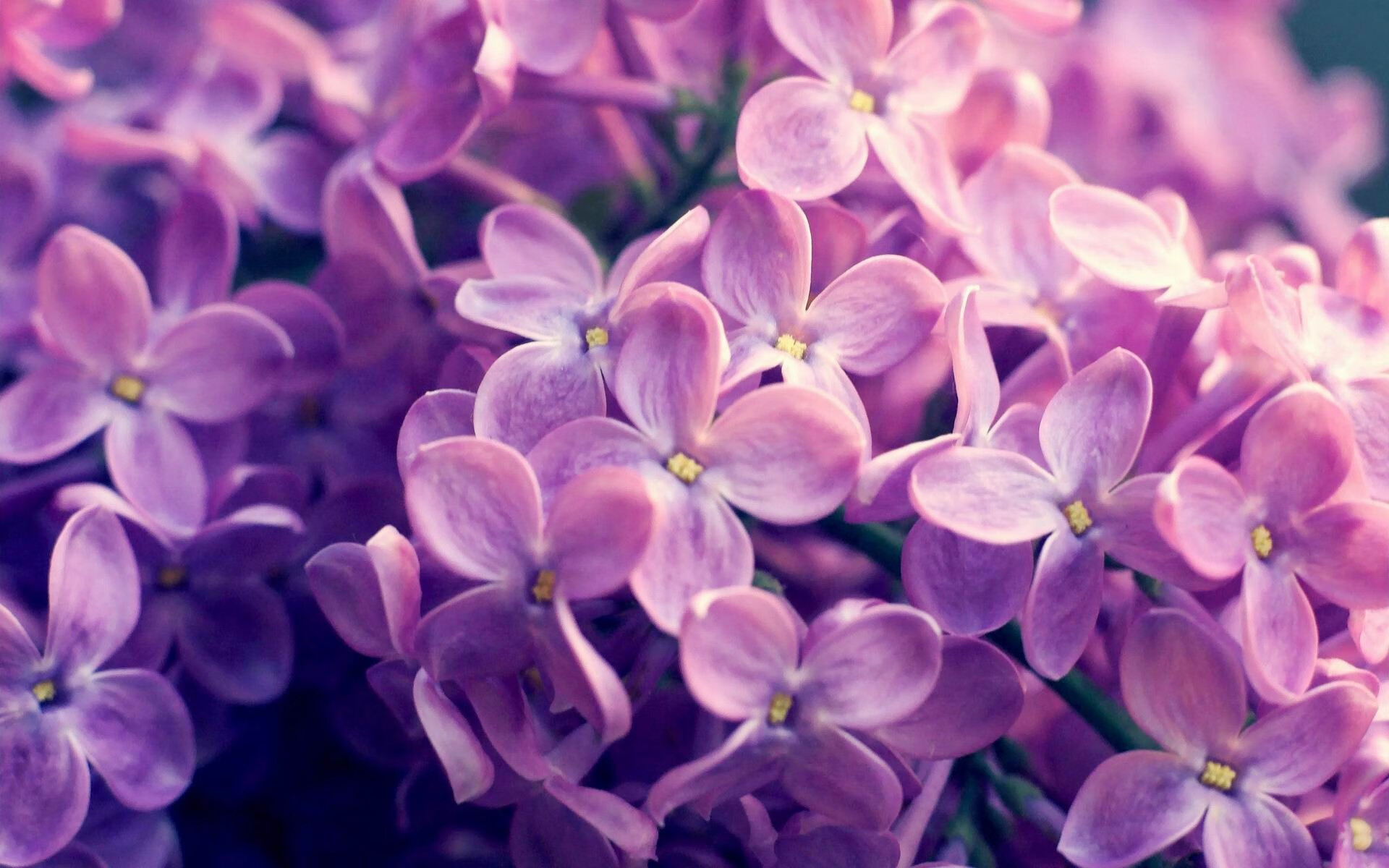 特色足球主题的文创市场持续火爆,带动地方经济发展,什么是足球文创作品