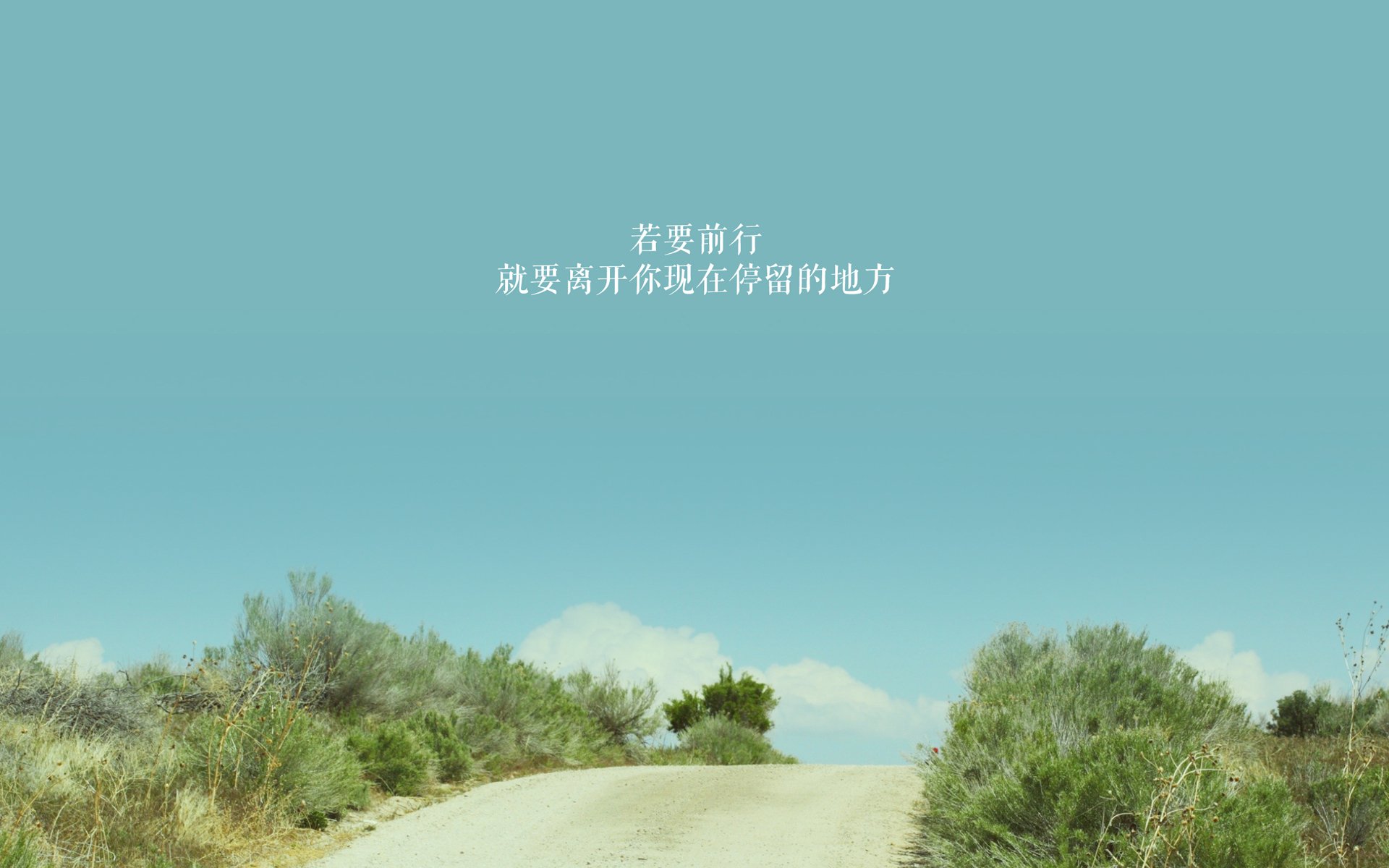 骑士老将主动担任训练指导带动全队投入,骑士现任主教练是谁